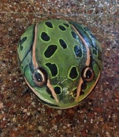 a green and black ceramic object sitting on top of a granite counter next to a tile floor