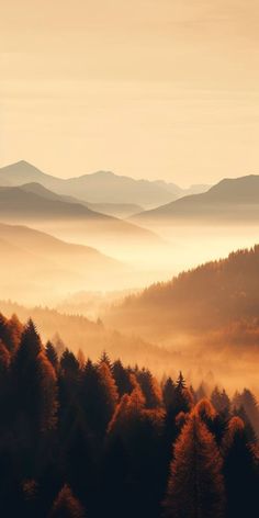 the sun is shining on some trees in the foggy mountains with hills behind them