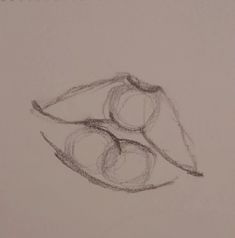 a pencil drawing of two apples sitting on top of each other