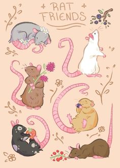 an image of rat friends with flowers and mice on it's back side, surrounded by other animals