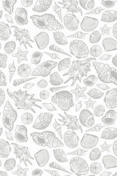 an image of sea shells on a white background seamless wallpaper pattern stock photo