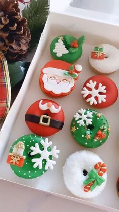 decorated christmas donuts in a white box