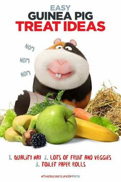 a poster with an image of a guinea pig surrounded by fruit and veggies