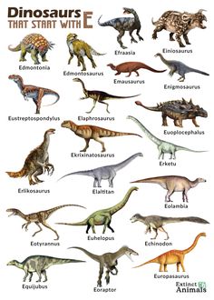 an image of dinosaurs that are all different colors and sizes, with the words dinosaurs in