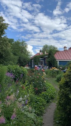 the house is surrounded by lush green plants and flowers, with a path leading to it