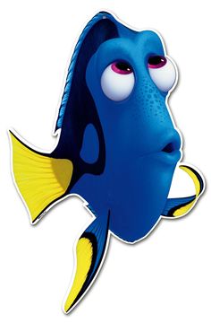 a blue and yellow fish with big eyes