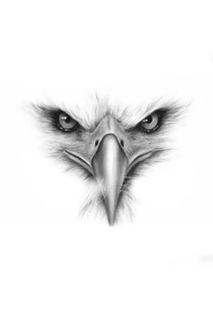 an eagle's head is shown in black and white