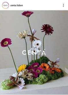 an arrangement of flowers is displayed with the words centaa in front of it