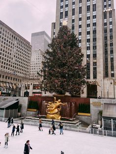 people skating on an ice rink in front of a christmas tree