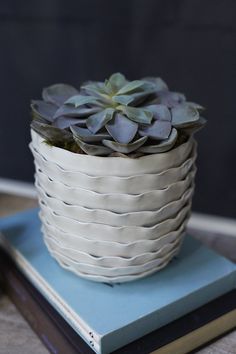 a white planter sitting on top of a stack of books