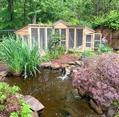 there is a small pond in the middle of this garden with two sheds behind it