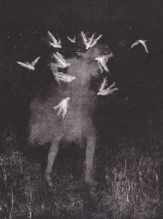 a man standing in the grass with birds flying around him