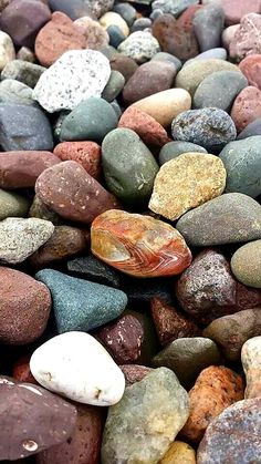 some rocks and pebbles are laying on the ground