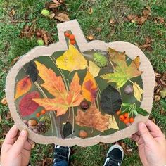 a person holding up a paper plate with leaves on it and acorns in the water