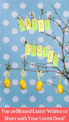 easter wishes,
happy easter wishes,
blessed easter wishes,
easter wishes ideas, Blessed Easter Wishes, Blessed Easter, Express Gratitude