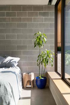 a bed sitting next to a window with a plant in the corner on top of it