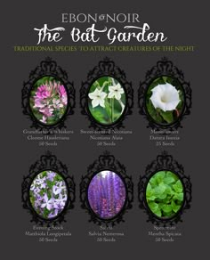 an image of different types of flowers on a black and white background with the words ebonn noir, the midnight garden