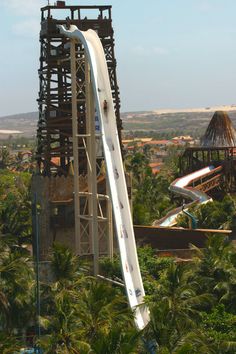 an upside down water slide in the middle of palm trees with a caption that reads,