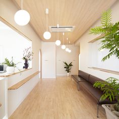 a long hallway with wooden floors and plants on the wall, along with white walls