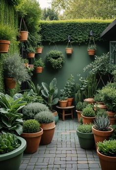 many potted plants are on the brick walkway in front of a green walled wall