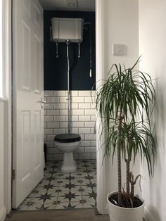 a potted plant sitting next to a toilet in a white and black tiled bathroom