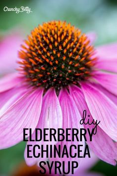 a close up of a flower with the words elderberry echinca syrup on it