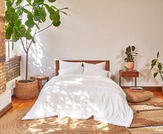 a bed with white linens and pillows in a bedroom next to a potted plant