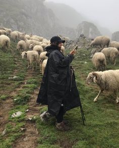 a man standing in front of a herd of sheep on top of a lush green hillside