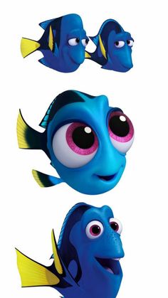 two blue and yellow fish with big eyes on each one's face, the other is