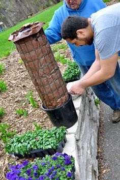 two men are working on an outdoor planter