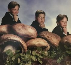 three boys are sitting in front of some mushrooms