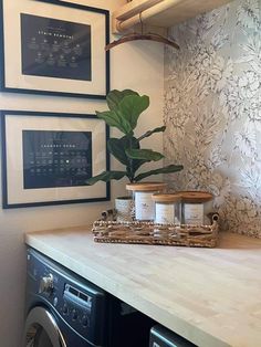 a washer and dryer sitting on top of a counter next to a potted plant