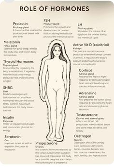 Hormone Nutrition, Nervus Vagus, Female Hormone, Biology Facts, Healthy Hormones, Menstrual Health, Feminine Health, Medical Knowledge, Hormone Health