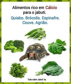 an advertisement for broccoli and other vegetables