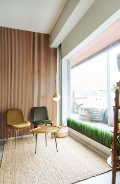 two chairs in front of a window with grass growing on the wall and behind them