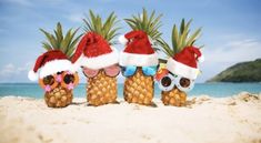 three pineapples wearing santa hats and sunglasses on the beach