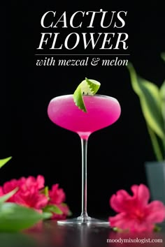 a pink cocktail in a martini glass with a garnish on the rim and text that reads cactus flower with mezcal & melon