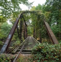 an old train bridge in the woods with vines growing on it's sides and trees lining both sides