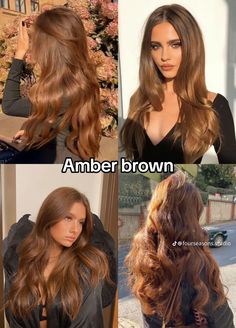 Amber Brown Hair, Amber Hair Colors, Caramel Brown Hair, Warm Hair Color, Warm Brown Hair, Amber Hair, Color Seasons