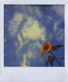 a sunflower is in the foreground against a blue sky with clouds