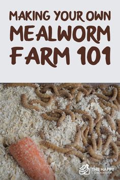 the words making your own meal is shown above an image of worms and carrots