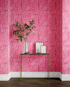 a pink wall with white lines on it and a potted plant in the corner