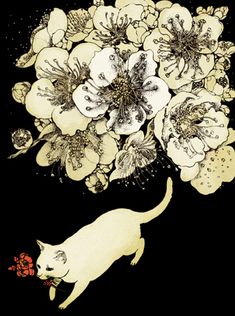 an image of a cat and flowers on a black background