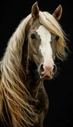 a brown and white horse with long blonde hair