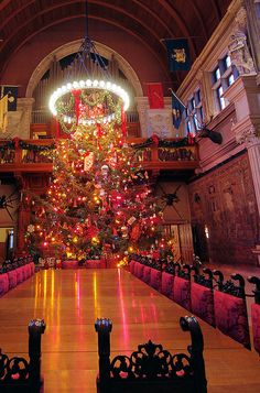 a decorated christmas tree in the middle of a room