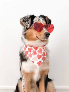 a dog with heart shaped sunglasses sitting on the floor in front of a white wall