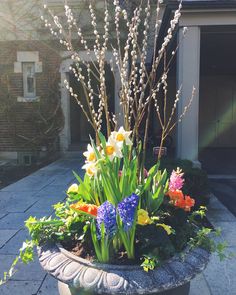 a potted planter filled with flowers and greenery on a sidewalk in front of a house