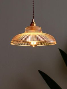 a light that is hanging from a ceiling in a room with some plants behind it