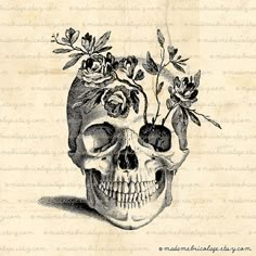 a drawing of a skull with flowers on its head