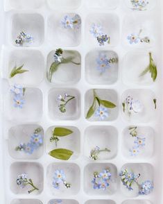 an ice tray with blue flowers and green leaves on it's sides, arranged in squares